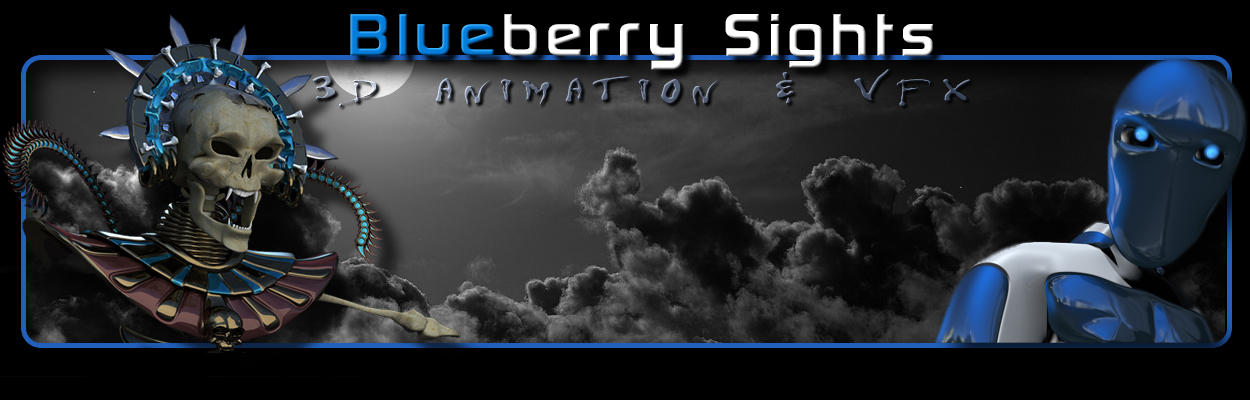 Blueberry Sights 3D Animation & Vfx